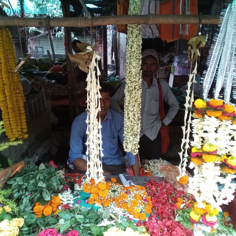 suraj  flawers