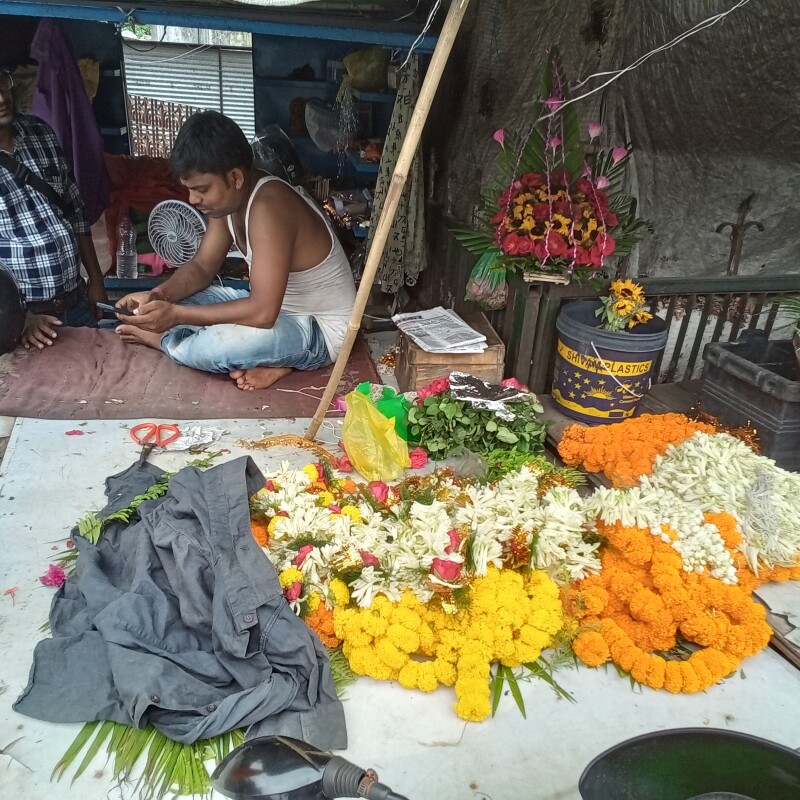 Sai flawer
