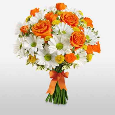 Rose Booke
