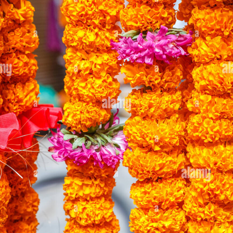 Marigold mala per piece rs 25